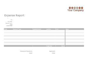 Free Download PDF Books, Company Expense Report Template