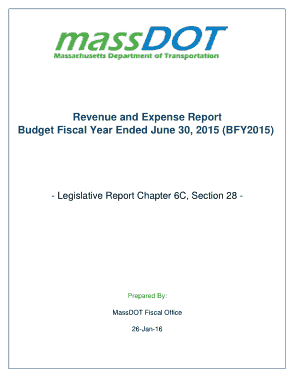 Free Download PDF Books, Revenue and Expense Report Template