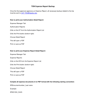 Free Download PDF Books, TEM Expense Report Backup Template