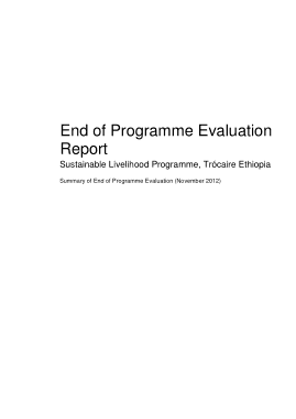 Free Download PDF Books, Program Evaluation Report Sample Template