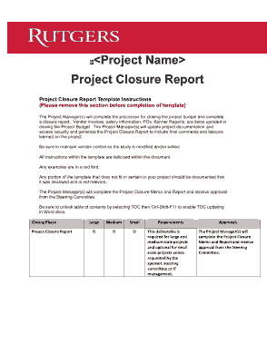 Free Download PDF Books, Project Closure Report Example Template