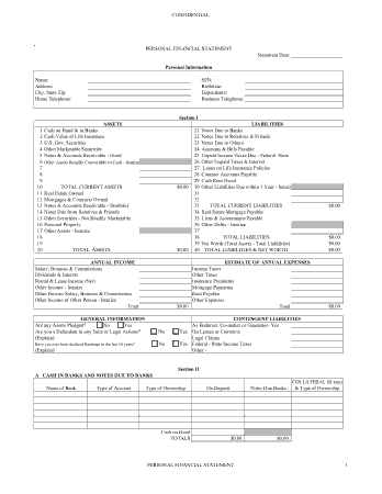 Free Download PDF Books, Blank Personal Financial Statement Sample Template