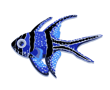 Free Download PDF Books, Decorative Background Fish Theme Blue Black Design Free Vector