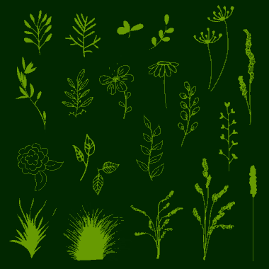 Free Download PDF Books, Flowers Background Various Flat Types Isolation Green Decoration Free Vector