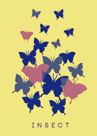 Free Download PDF Books, Butterflies Background Multicolored Flat Ornament Free Vector