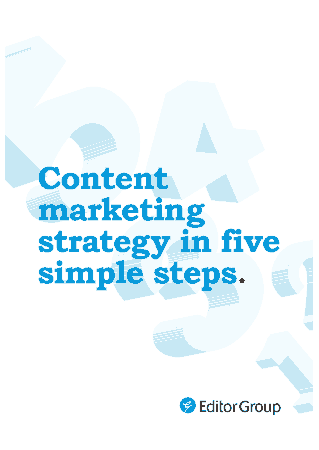 Free Download PDF Books, Content Marketing Strategy Plan Sample Template