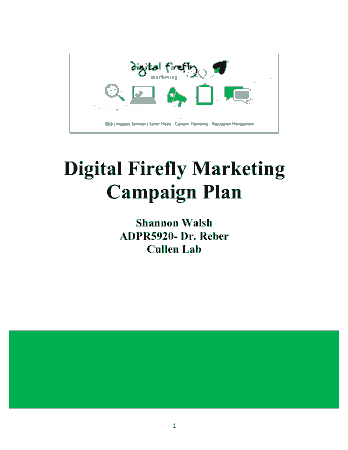 Free Download PDF Books, Digital Firefly Marketing Campaign Plan Template