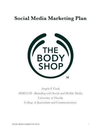 Free Download PDF Books, Social Media Marketing Plan Analysis Template