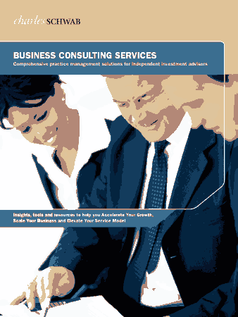 Free Download PDF Books, Business Consulting Services Plan Template