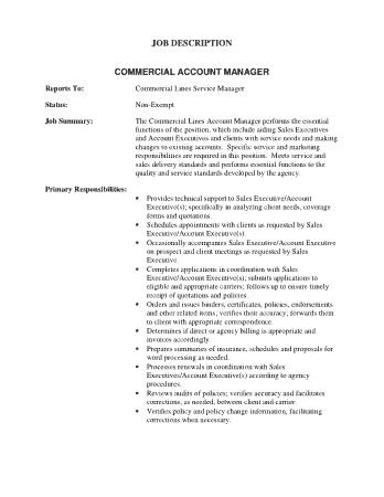 Free Download PDF Books, Commercial Account Manager Resume Template