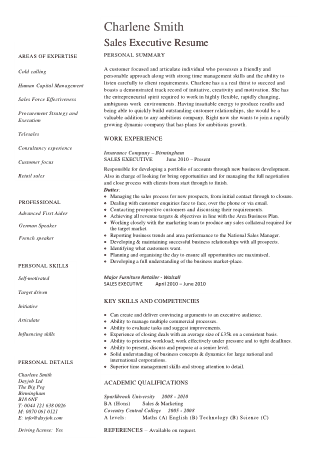 Free Download PDF Books, IT Sales Executive Resume Template