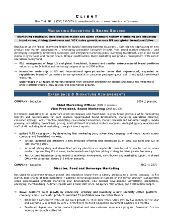 Free Download PDF Books, Marketing Executive and Brand Builder Officer Resume Template