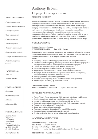 Free Download PDF Books, IT Project Manager Skills Resume Template