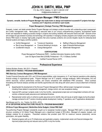 Free Download PDF Books, Program Manager PMO Director Resume Template