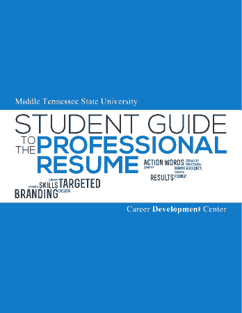Free Download PDF Books, Professional Skills Summary for Resume Example Template