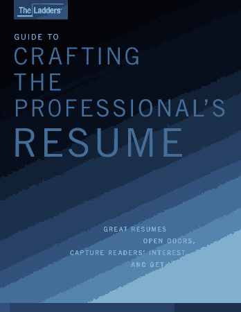 Free Download PDF Books, Professional Summary for Resume with Experience Template