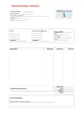 Professional Service Invoice Template Word | Excel | PDF