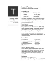 Basic Industrial Appraiser Resume Template Word | PDF