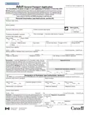 Adult Passport Application Form Template