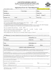 Teen Babysitter Application Form Template