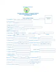 Visa Application Form Template