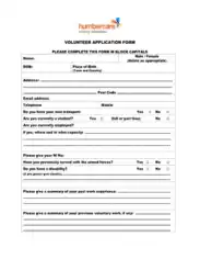 Volunteer Mentor Application Form Template
