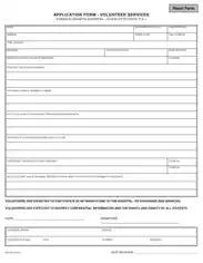 Volunteer Service Application Form Template
