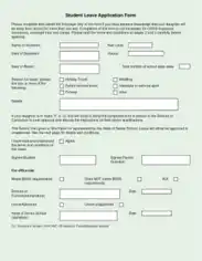 Student Leave Application Form Template