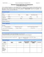 County Employment Application Form Template
