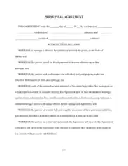Simple Prenuptial Agreement Form Template