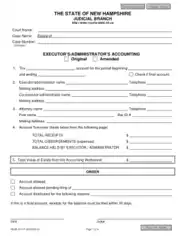 Adminstrator Accounting Form Template