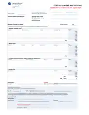 Cost Accounting and Auditing Form Template