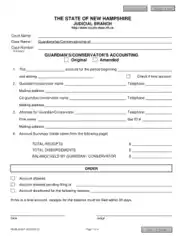 Free Download PDF Books, Guardianship Accounting Form Template