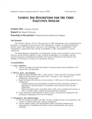 Free Download PDF Books, CEO Job Description Template