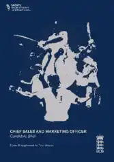Chief Sales and Marketing Officer Job Description Template