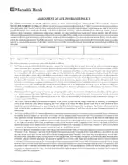 Bank Assignment of Insurance Policy Template