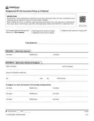 Basic Assignment of Life Insurance Policy Template