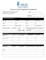 Free Download PDF Books, Summer Youth Employment Application Template