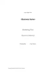 Free Download PDF Books, Business Marketing Plan Template