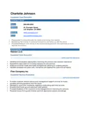 Free Download PDF Books, Customer Care Executive Resume Template