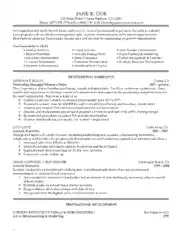 Purchase Executive Experience Resume Template