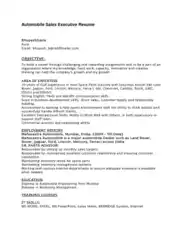 Free Download PDF Books, Resume of Automobile Sales Executive Template