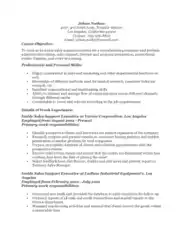 Sales Support Executive Template