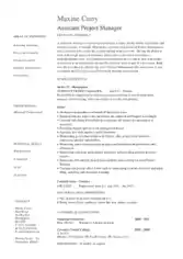Project Manager Assistant Resume Template