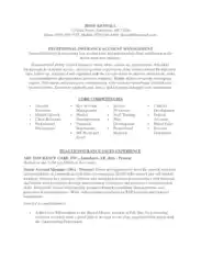 Resume of Insurance Account Manager Template