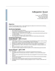 Resume of IT Product Manager Template