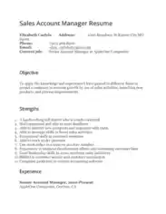 Resume of Sales Account Manager Template