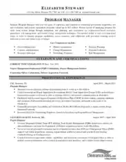 Resume of Software Program Manager Template