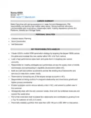 Sales Summary for Resume Template