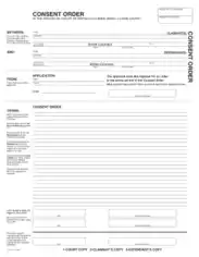 Example of Consent Order Form Template
